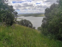 Flora del Cerro Masatrigo